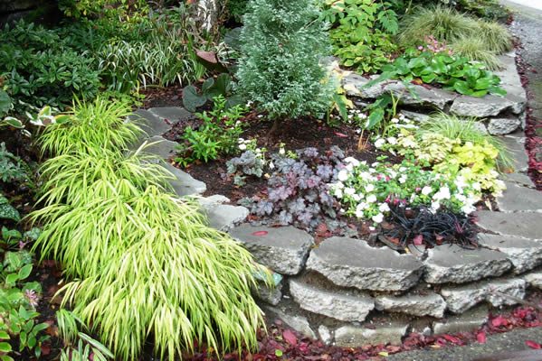 fall-garden.jpg